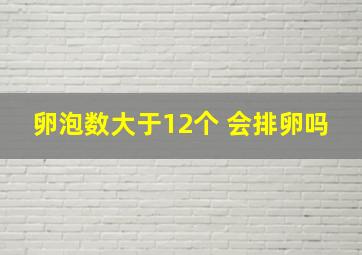 卵泡数大于12个 会排卵吗